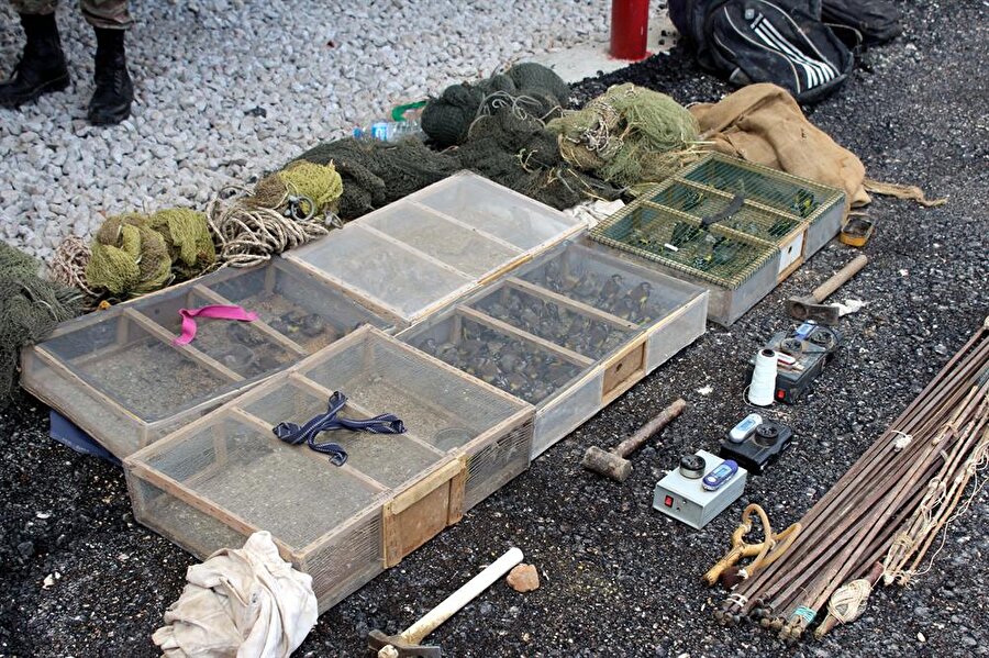 Koruma altındaki sakalar doğaya salındı