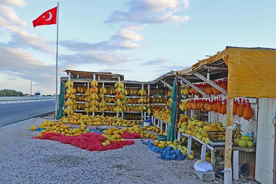 Kırkağaç kavunu kış için ipe bağlandı