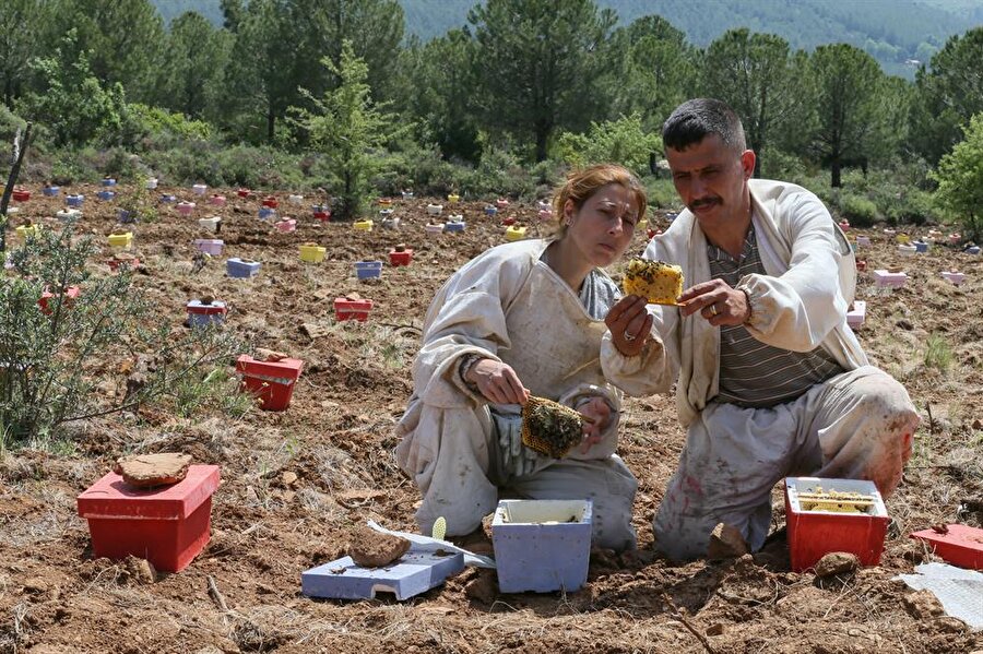 "Genç Çiftçi Projesi"nden faydalandılar.