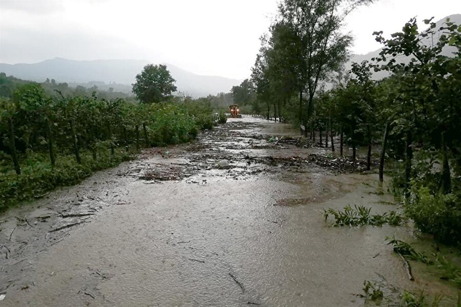 Ordu