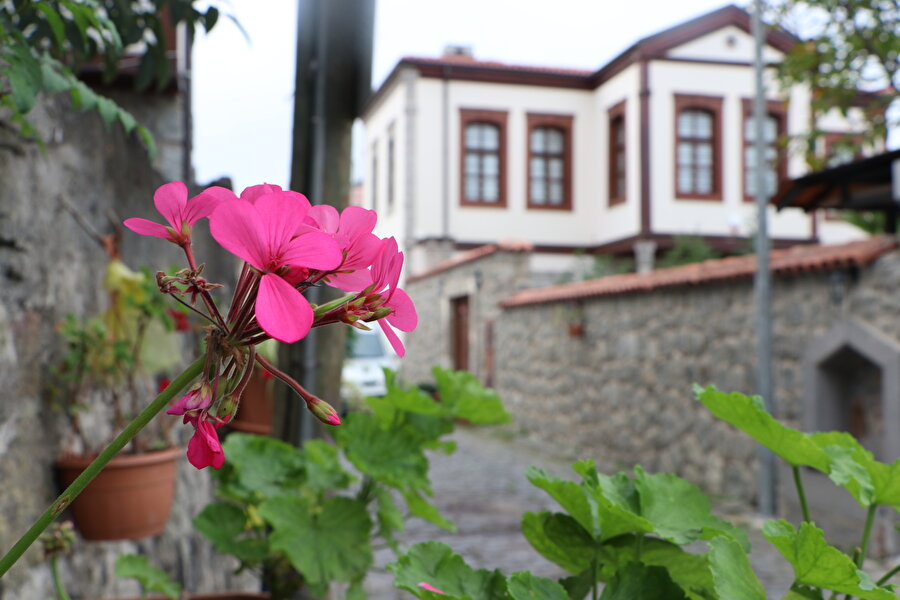 Trabzon'un Akçaabat ilçesinde bulunan Ortamahalle her mevsim turistlerin uğrak yeri.