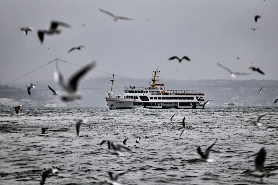 İstanbul'da vapur, martılar ve tarihi yarımada güzel görüntülere sahne oldu.