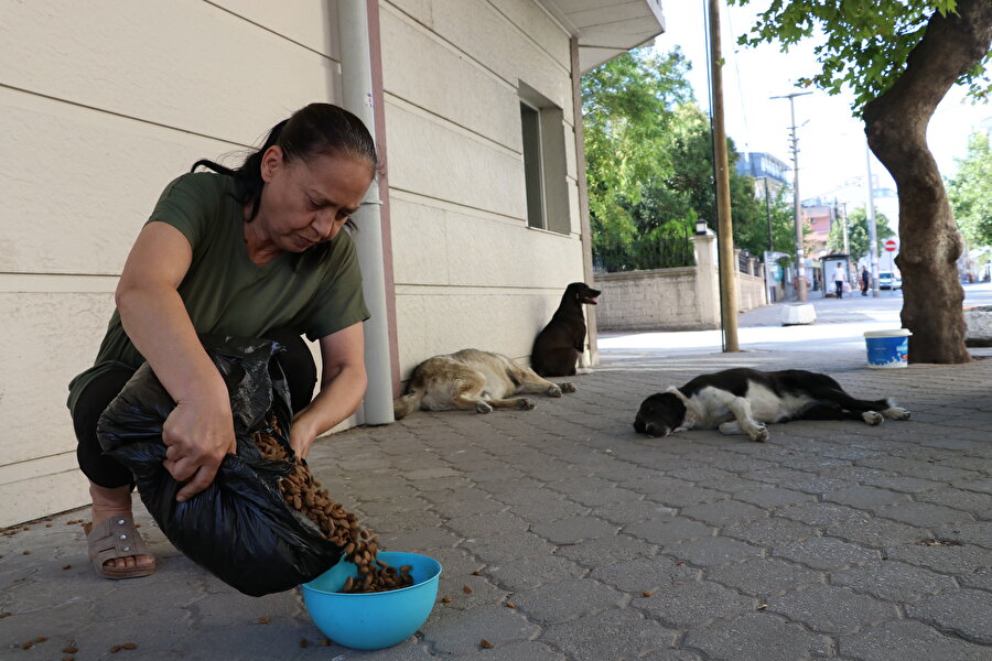 53 yaşındaki Adalet Karaarslan, emekli maaşıyla aldığı mamalarla mahallesindeki sokak köpeklerini besliyor.