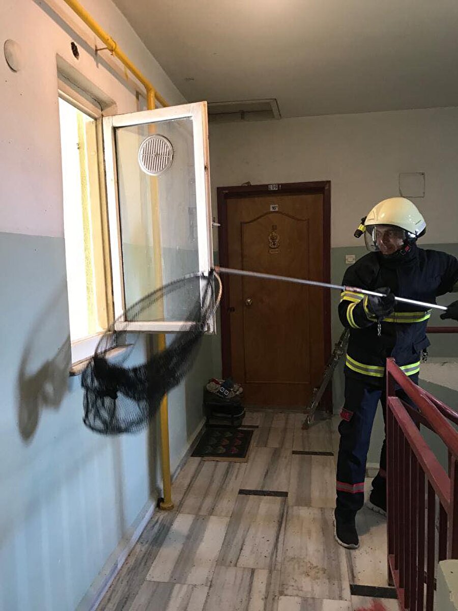 Kırklareli'de bir apartman boşluğundaki 60 yarasa bulundu