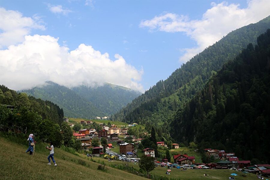 Ayder Yaylası