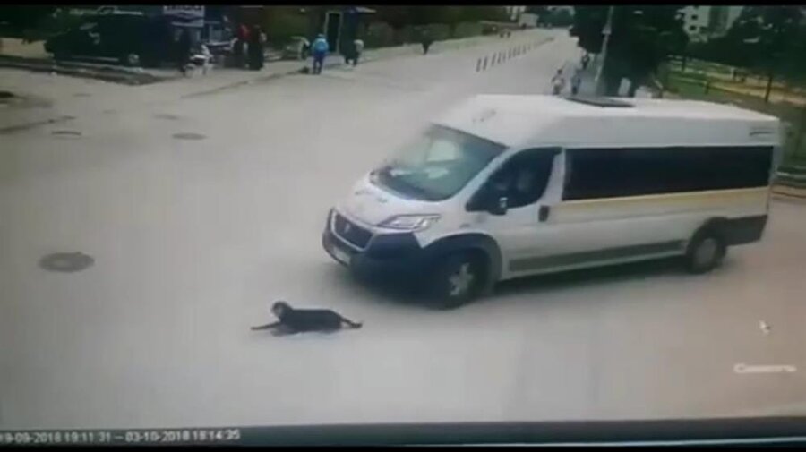 Servis minibüsü, köpeği ezip yoluna devam etti.