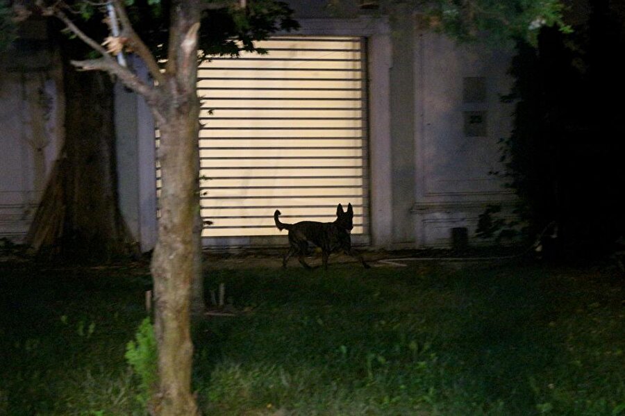 Olay yeri inceleme ekiplerinin Başkonsolosluk konutundaki incelemesi sürüyor. Konutun bahçesinde  Kadavra köpeği 'Melo' ile aramalar devam ediyor. 