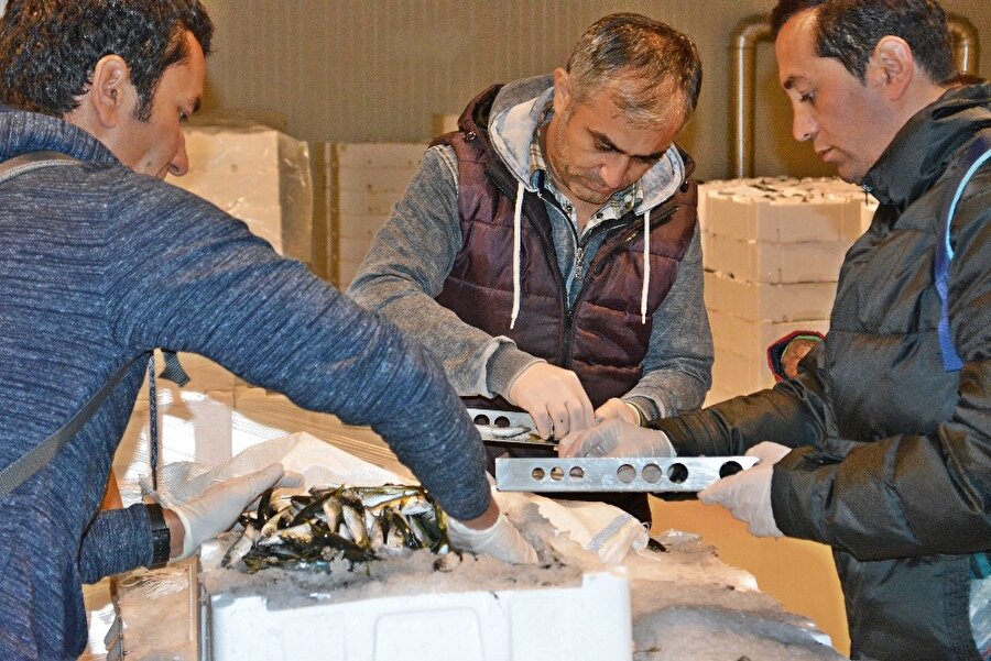 21 ton balığa el konuldu