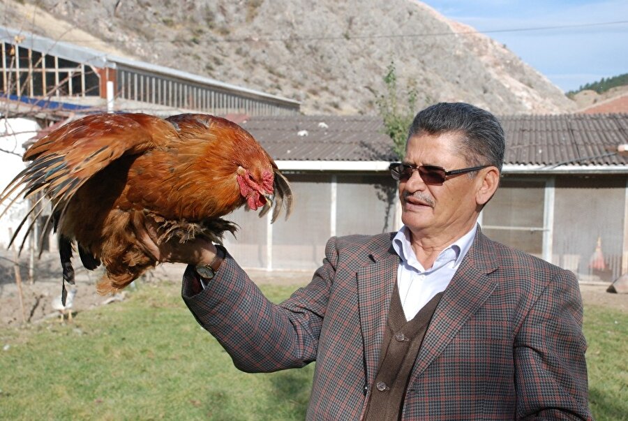 10 tavukla başladı 200’e yakın tavuk besliyor.