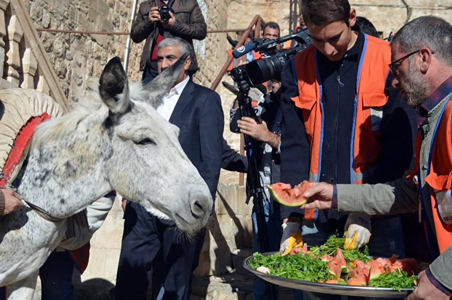 'Kadrolu Eşekler' emekliye ayrıldı 