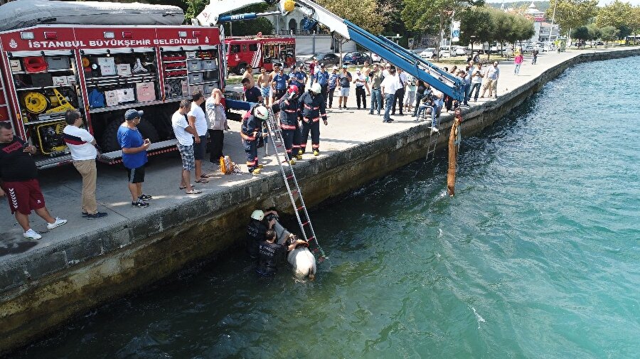 Sarıyer