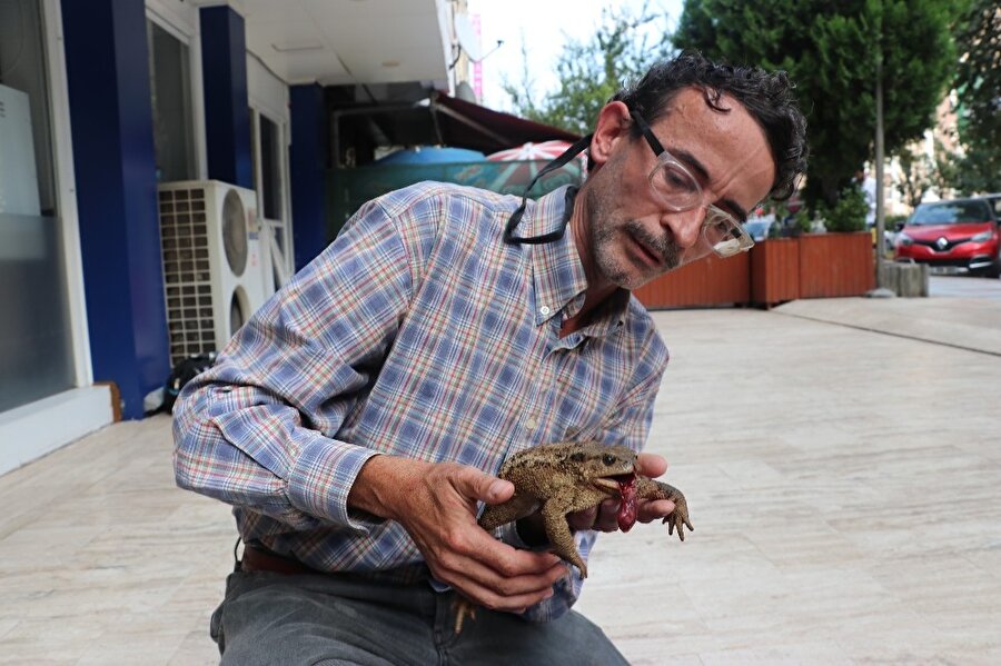 Ömer Faruk Kırçın