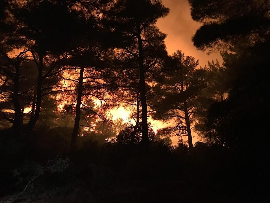 Çanakkale Gelibolu'ndaki yangın kontrol altında.
