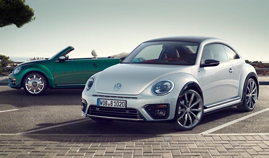 Beetle
