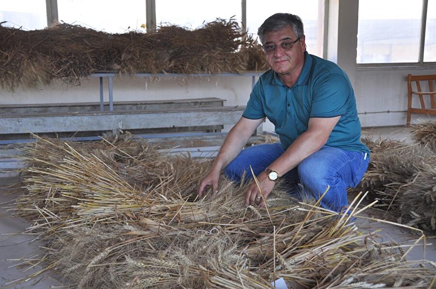 Ege Tarımsal Araştırma Enstitüsü Buğday Şube Şefi Ziraat Yüksek Mühendisi Rıza Ünsal
