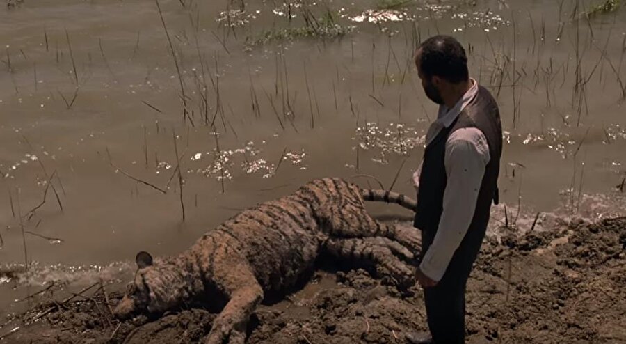 Westworld'ün yeni fragmanında en çok dikkat çeken ayrıntılardan biri Bernard Love'un ölü bir kaplan cesedine baktığı sahne.
