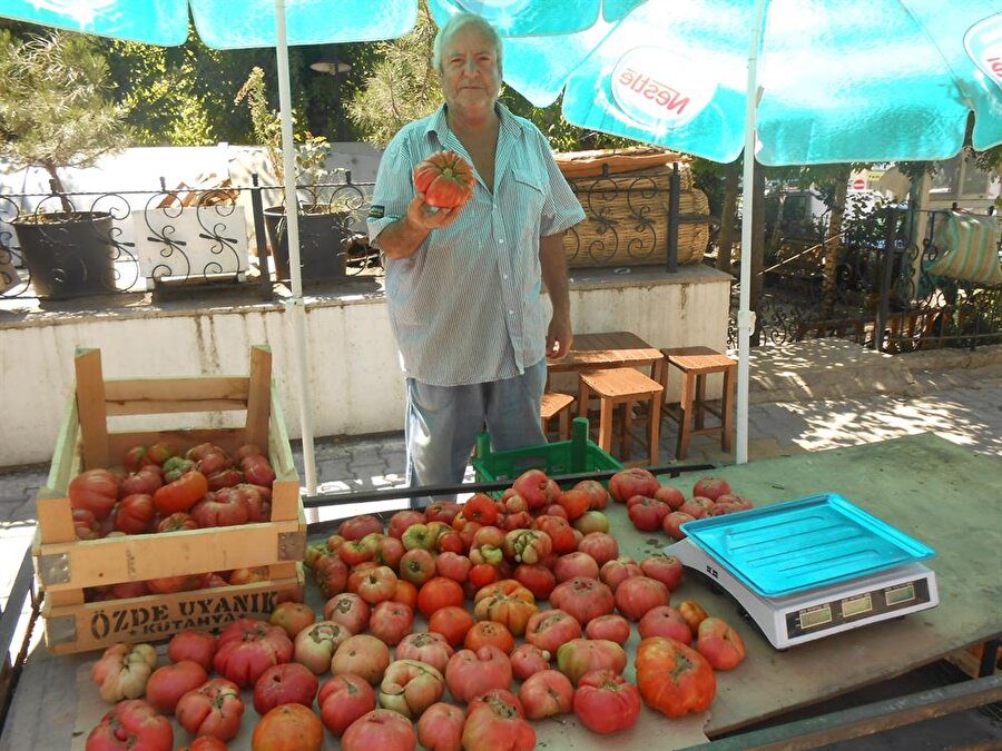 69 yaşındaki Nuri Eriğdeci'nin tarlasında ürettiği, yaklaşık 1 kilogram ağırlığa ulaşan organik domatesler, vatandaşlar tarafından yoğun ilgi görüyor. (Abdulkadir Ekmekçioğlu / AA) 