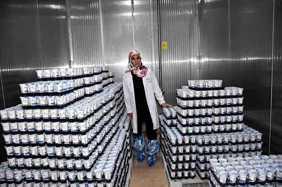3 yıl önce devlet desteği alarak süt ürünleri fabrikası kuran Reyhan Tekemen, 20 kişiye istihdam sağlıyor. (Mehmet Can Alkaş / AA)