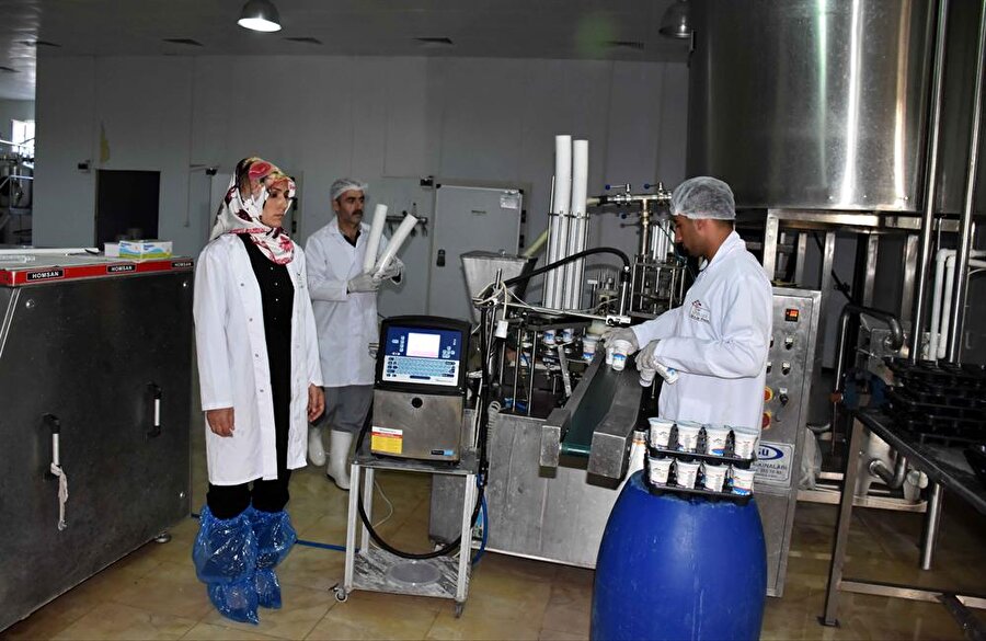 3 yıl önce devlet desteği alarak süt ürünleri fabrikası kuran Reyhan Tekemen, 20 kişiye istihdam sağlıyor. (Mehmet Can Alkaş / AA)