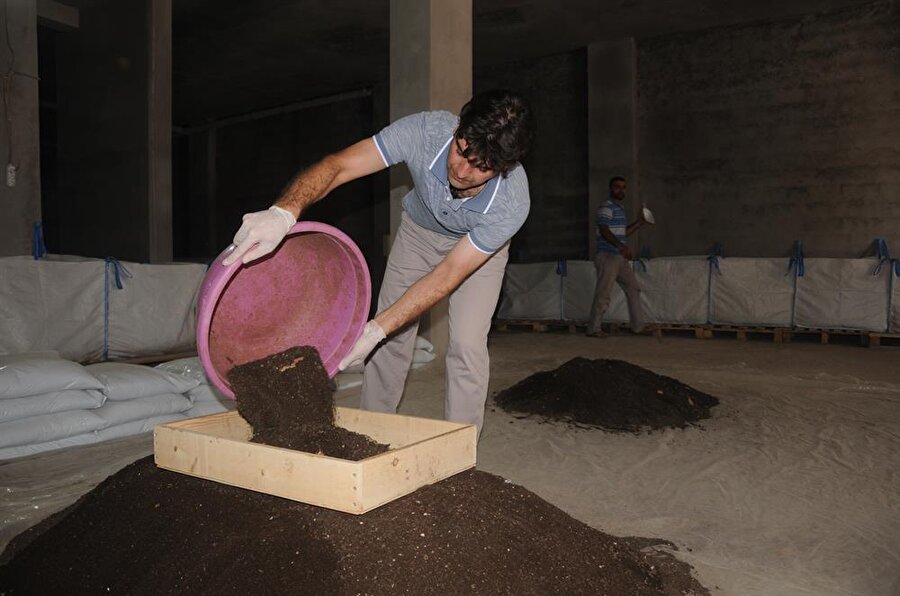 Davut Kurul, bir yıl önce solucan gübresi üretmeye karar verdi, şimdi ayda 5 ton gübre satıyor! (Osman Öksüz / AA)