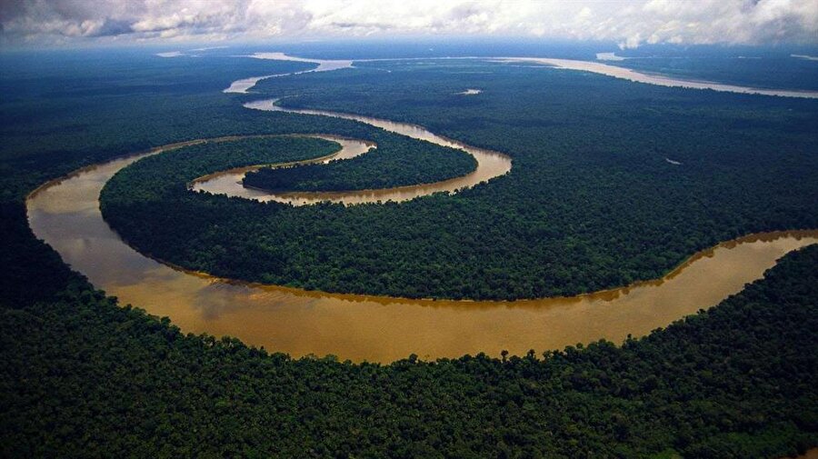 Amazon nehrinden bir fotoğraf. 