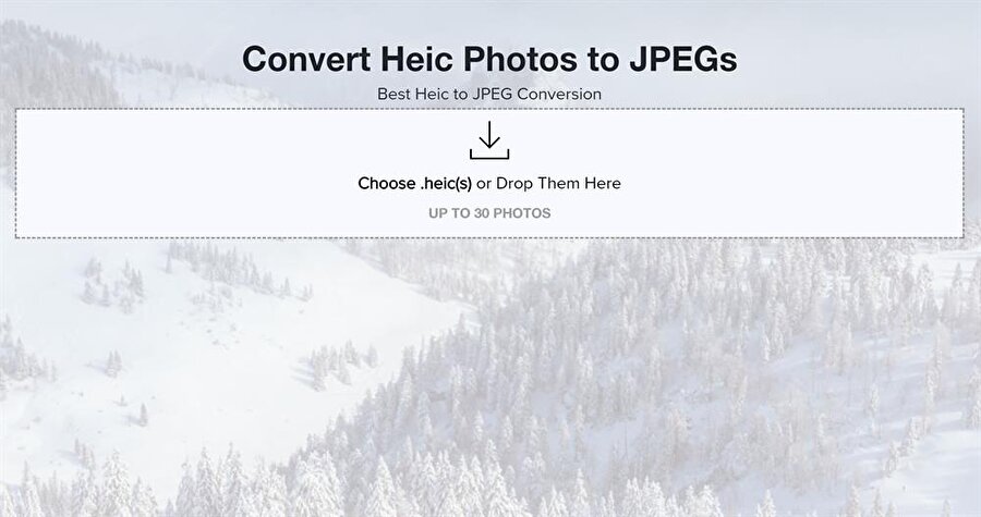 Bu servis sayesinde çok kolay ve hızlı bir şekilde HEIC dosyalarını JPEG'e çevirebilmek mümkün. 