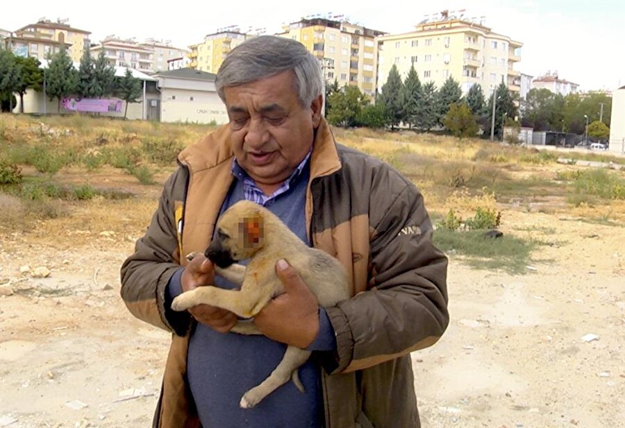 1 aylık yavru köpek veterinerde tedavi altına alındı.