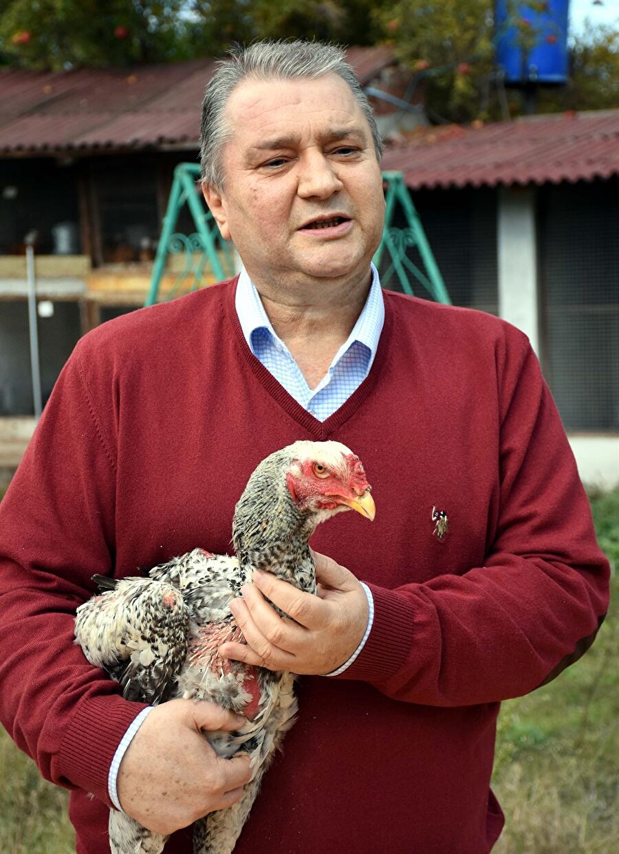 Ömer Faruk Erdönmez