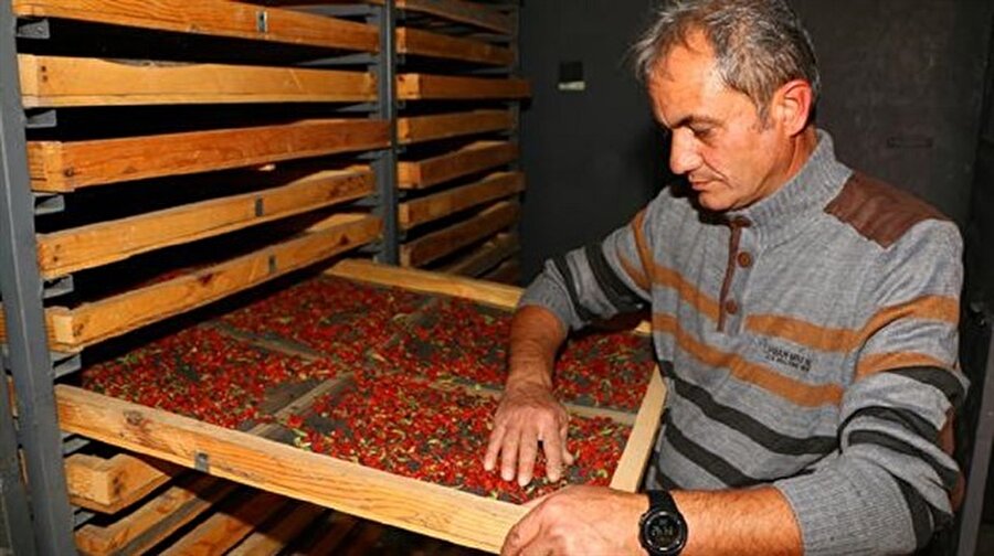 Mehmet Çekil, yaptığı açıklamada, "gençlik iksiri" olarak nitelendirilen goji berrynin antioksidan deposu olduğunu söyledi.