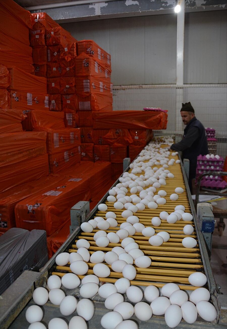 Yumurtanın kolisi 10 liraya kadar alıcı buluyor.