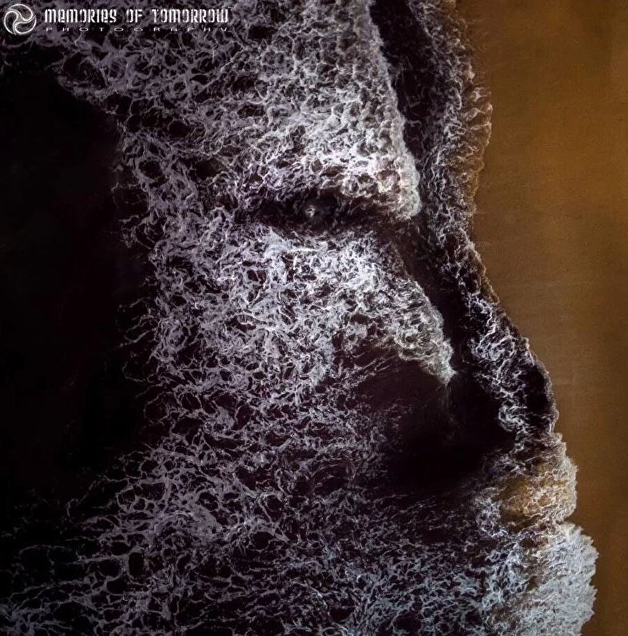 Fotoğraf: Peter Adams Shawn.