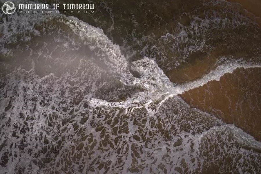 Fotoğraf: Peter Adams Shawn.