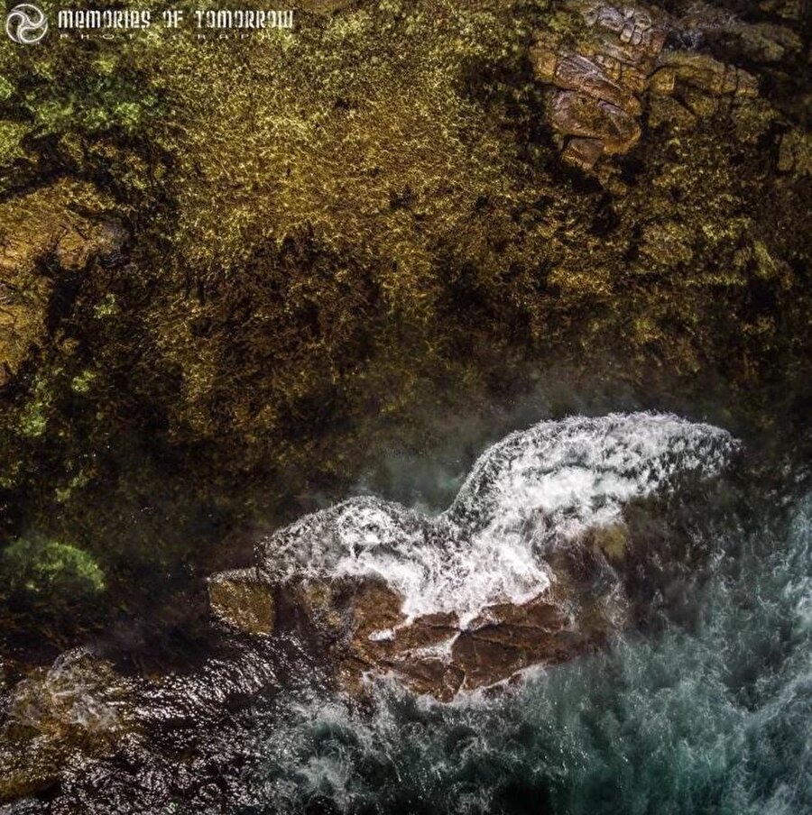 Fotoğraf: Peter Adams Shawn.