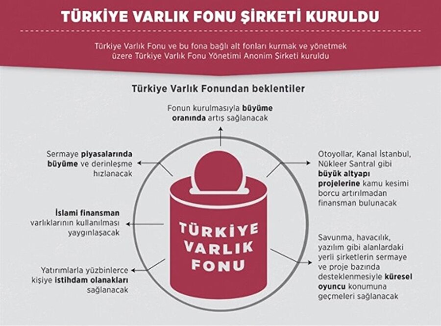 Türkiye Varlık Fonu, devletin kurmuş olduğu 'büyük bir holding' özelliği taşıyor.