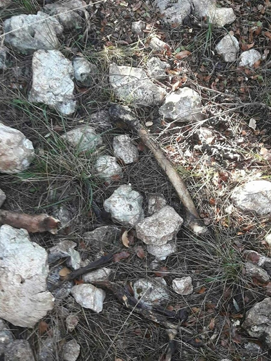 Bulunan kemikler, DNA testi için incelenmek üzere Adli Tıp Kurumu'na gönderildi.