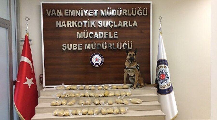 Polis köpeği Şila, eroin paketlerini yakıt deposunda buldu.