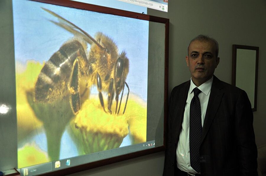 Prof. Dr. Derviş Karaboğa.