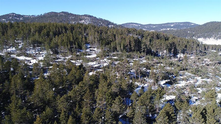 30 bin metreküp devrik oluşmuş durumda.