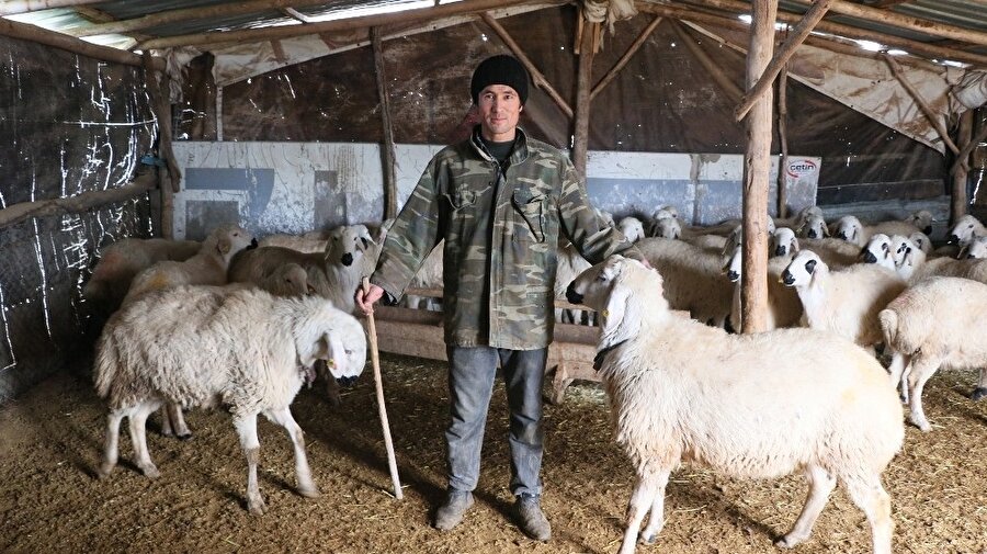 Afgan çobanlar Aksaraylı üreticilerin derdine çare oldu.
