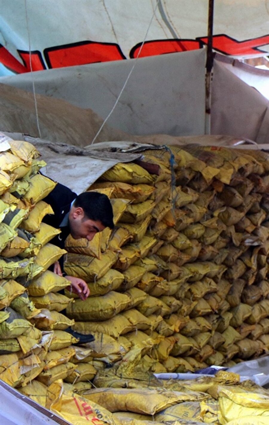 Kral mezarı kömürlerin arasından çıktı.