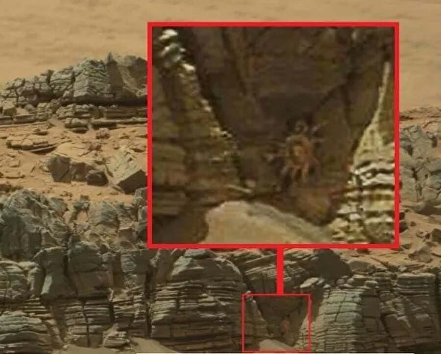 Mars'ta görülen ve Marslı olduğu düşünülen varlık. 