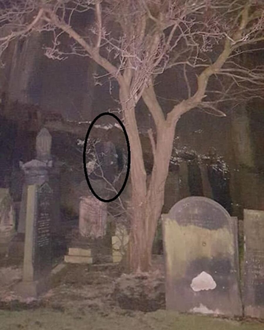 История произошедшая ночью. Ghost Case головоломка на кладбище. Реальные призраки на кладбище. Кладбище ночью с призраками.