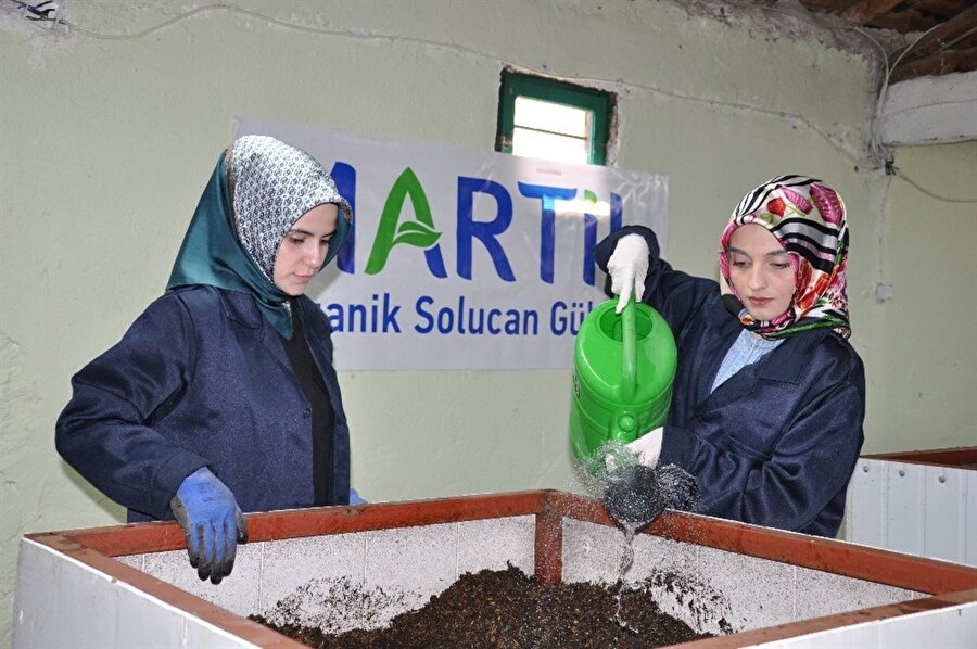 2 ev hanımı, yaklaşık 18 ay önce bileziklerini satarak organik solucan gübresi çiftliği kurmak için kolları sıvadı.