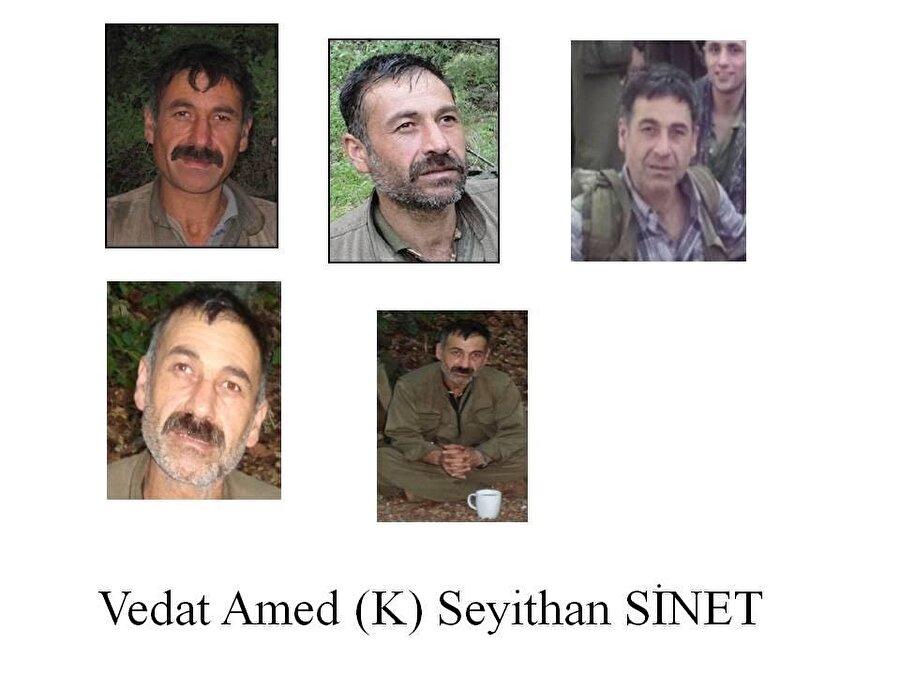 Terörden arananlar listesinin kırmızı kategorisinde yer alan sözde Amanos saha genel sorumlusu Wedat-Amed kod adlı Seyithan Sinet'in etkisiz hale getirildiği açıklandı. 