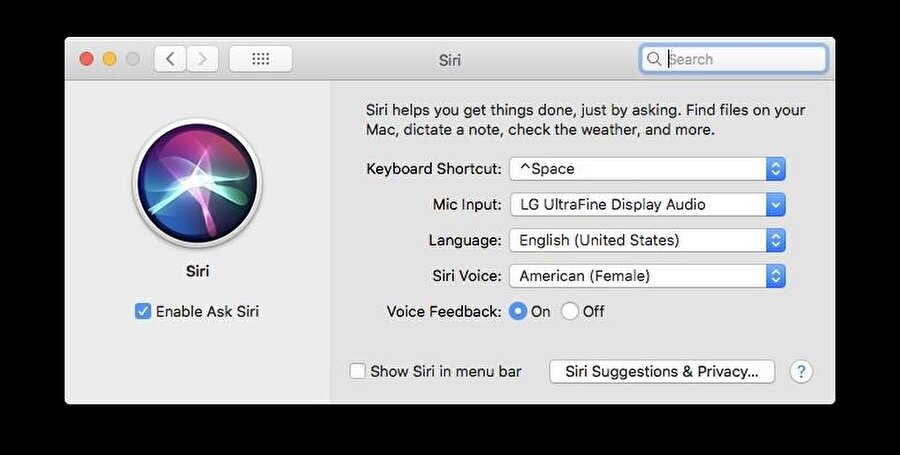Mac'lerde Siri sesini değiştirme yöntemi.