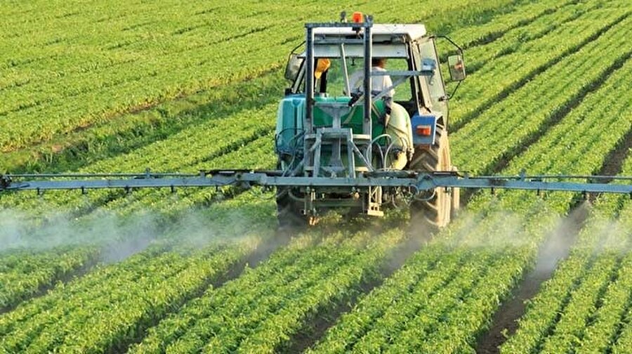 Görüldüğü her yerde hızla yayılan ve tüm tarım ürünlerine zarar vererek ülkelerin tarım gelirlerine büyük darbe vuran mermer böcekleri şimdi de Rusya’da görüldü.