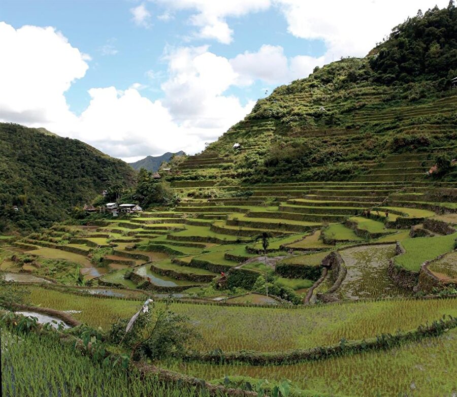 Pirinç terasları her yıl binlerce turist ağırlıyor