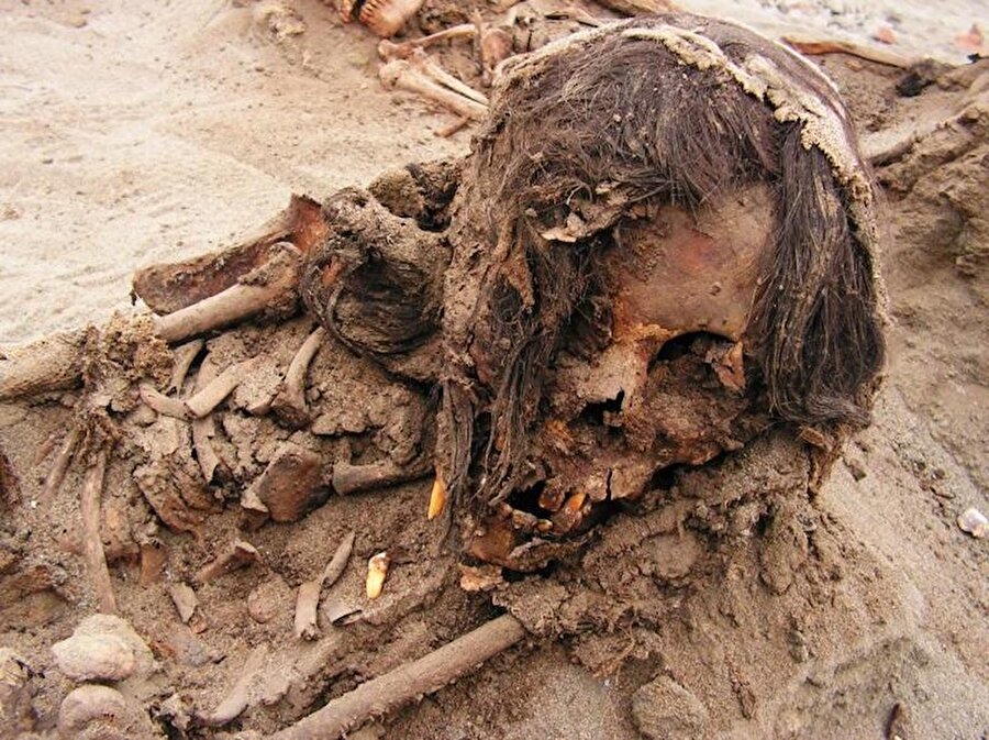 Yaklaşık 550 yıl önce, Chimú İmparatorluğu’nun genişleyen başkentinin gölgesinde gerçekleşen bir olayda, 140’dan fazla çocuk ve 200 lama ritüel olarak kurban edilmiş gibi görünüyor.nn