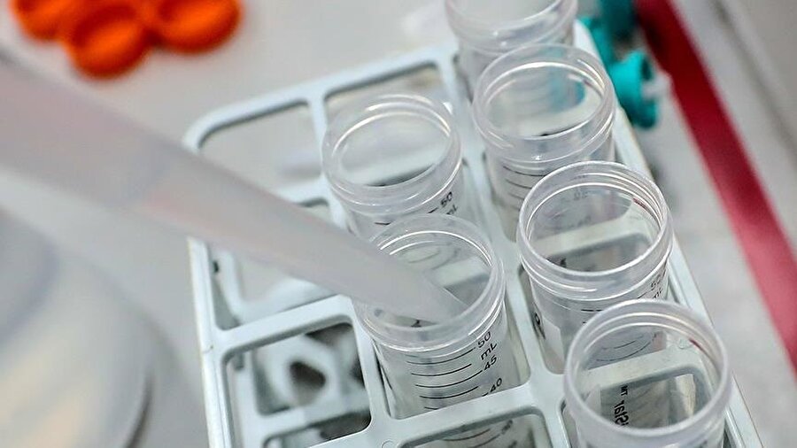 Araştırma sonucunda yaşlanmayla ilişkili kök hücre fonksiyonu kaybının 24 saatlik oruç sayesinde tersine çevrilebileceği tespit edildi. 