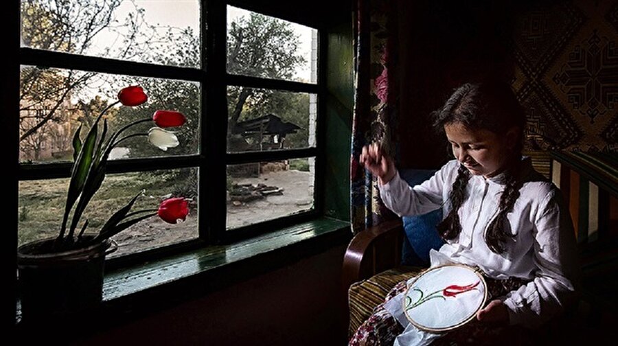 En güzel lale yarışmasında Ahmet Mücen, 'Lale Nakış' fotoğrafıyla birinci oldu
